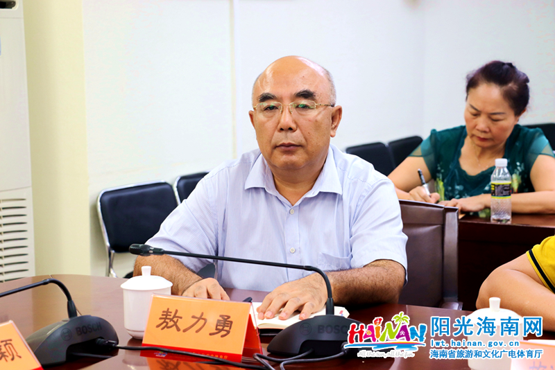 省旅文厅副厅长敖力勇在海口分会场参加2019年全国文化和旅游市场整治行动电视电话会议