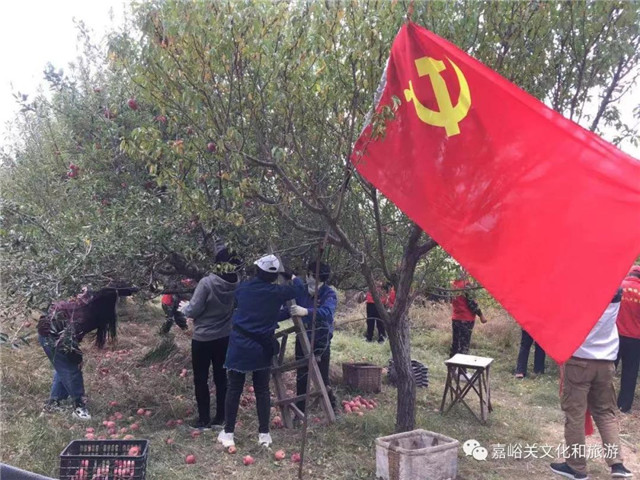 微信图片_20191017173224.jpg