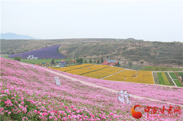 00300470416_6c1d04bc_副本.jpg