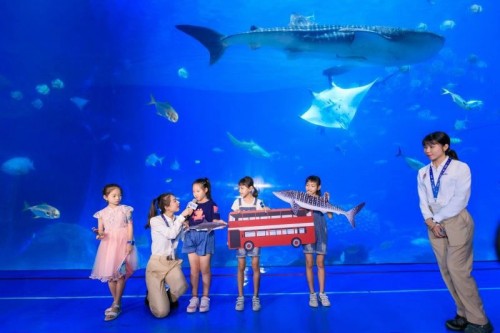 2019“世界鲸鲨日” 珠海长隆世界最大鲸鲨馆全开放