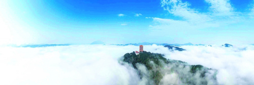 图片1_副本.jpg