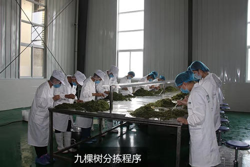微信图片_201909291103091_副本.jpg
