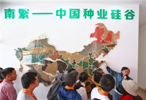 图片1.png