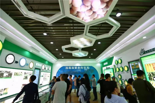 图片3.png