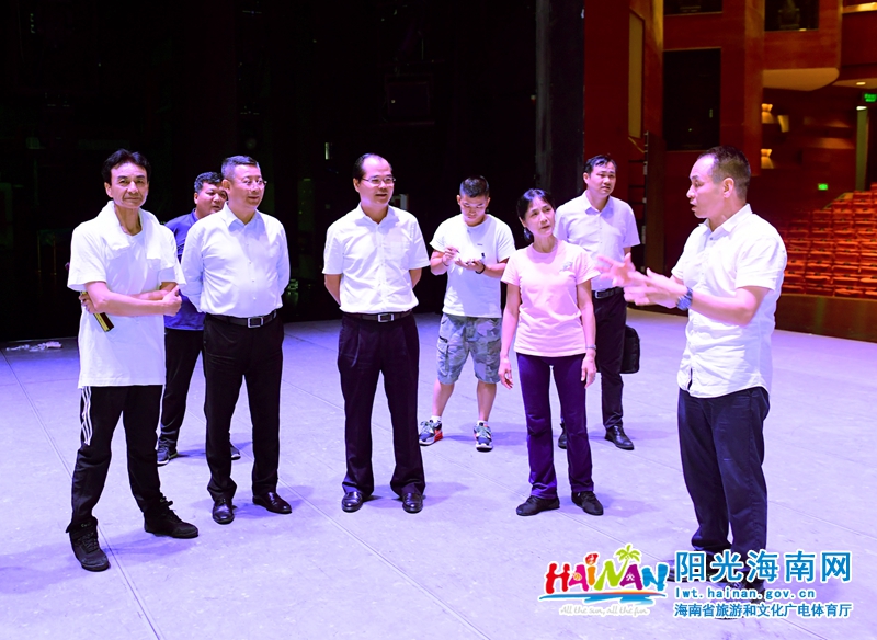 林光强一行听取省歌舞团负责人作情况汇报。李少雄 摄