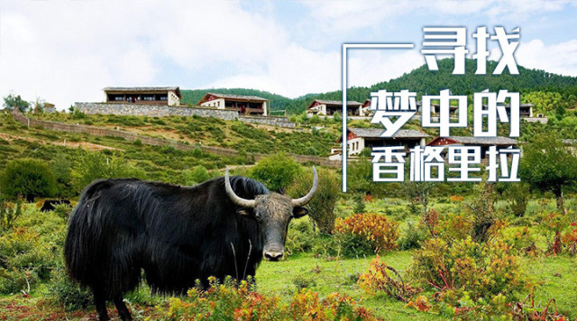 香格里拉乐土游.jpg