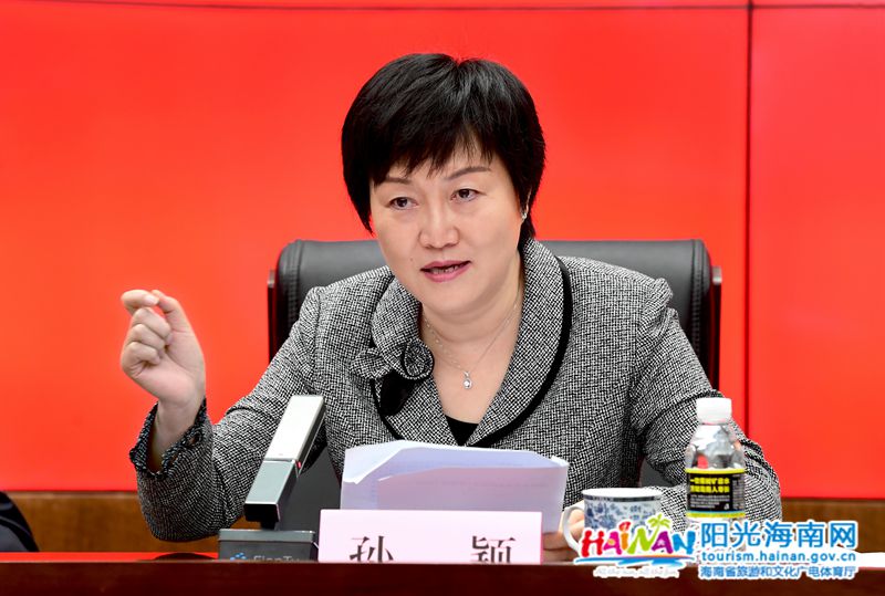 厅长孙颖主持会议