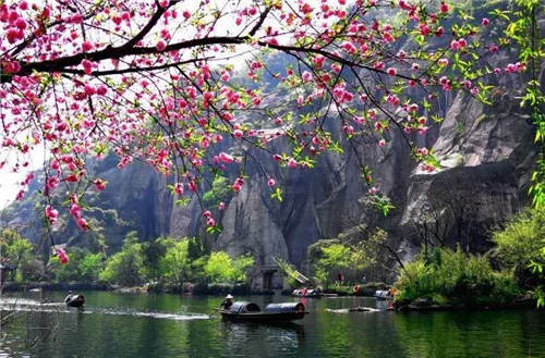 微信图片_202003161412302.jpg
