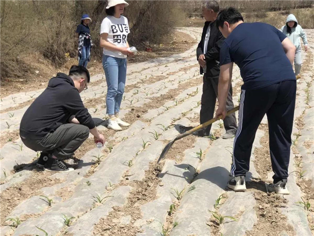 图片5_副本.jpg