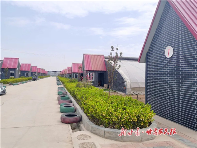 640.webp (1)_副本.jpg