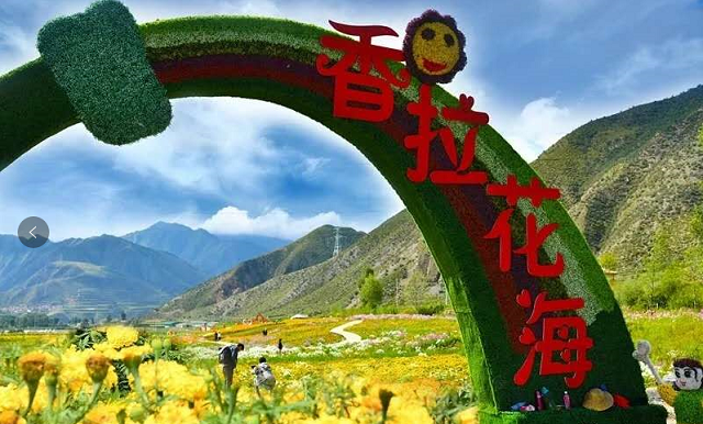 微信图片_20200514161826 - 副本.png