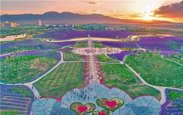 640.webp (1)_副本.jpg