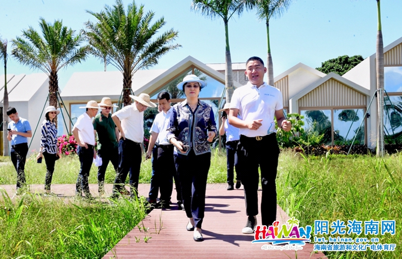 孙颖在博鳌镇大路坡村调研.jpg