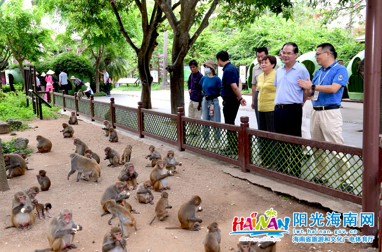 林光强调研南湾猴岛.jpg