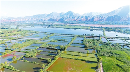 黄河三峡大川村_副本.jpg