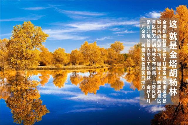 图片3_副本.png