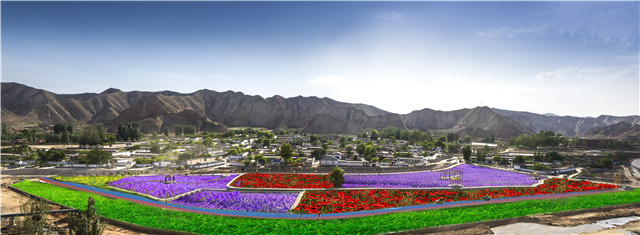 乡坊·强湾村_副本.jpg
