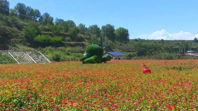 640.webp (1)_副本.jpg