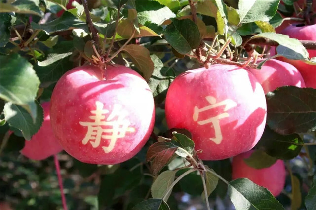 640.webp (2)_副本.jpg