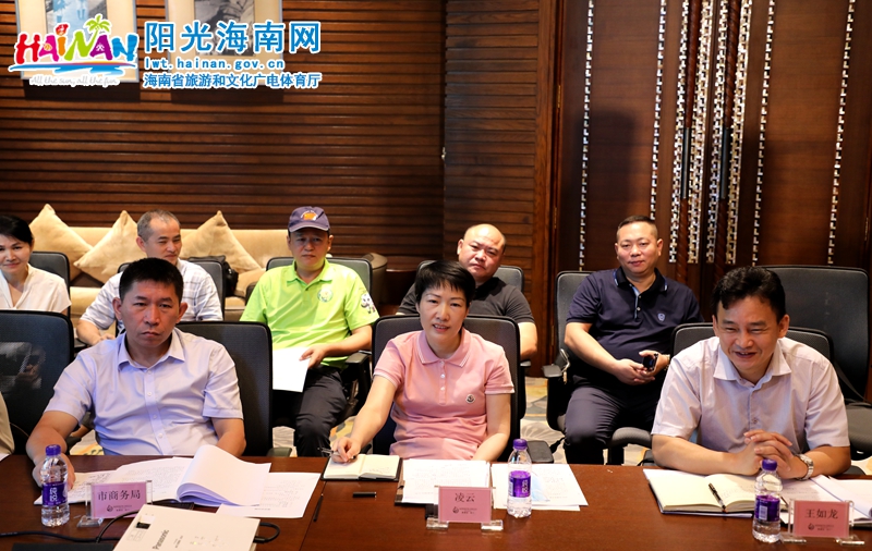 海口市人民政府副市长凌云，市旅文局、商务局、统计局主要负责人参加会议。