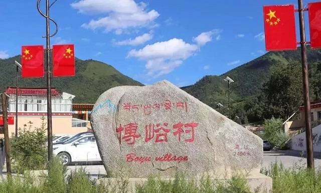 555.jpg