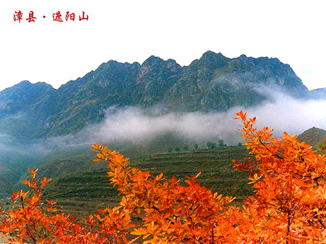 漳县 遮阳山1 副本1.JPG