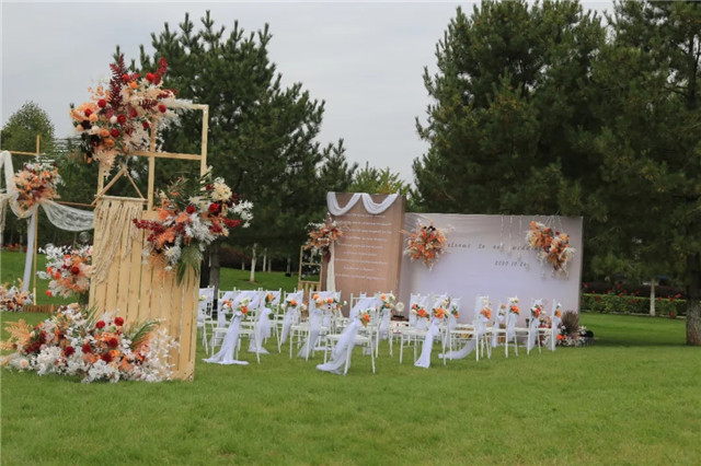 640.webp (6)_副本.jpg