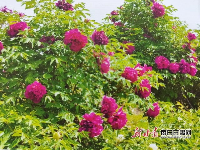 00301102776_04d2f642.jpg