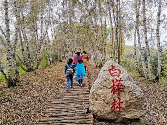 微信图片_20201207151520_副本_副本.jpg