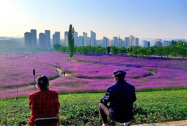 QQ截图20201210115059.jpg