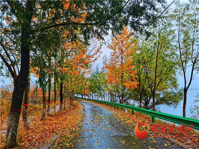 17111847r4aa_副本.jpg