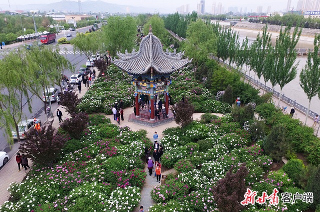1613990999757071112 - 副本.jpg